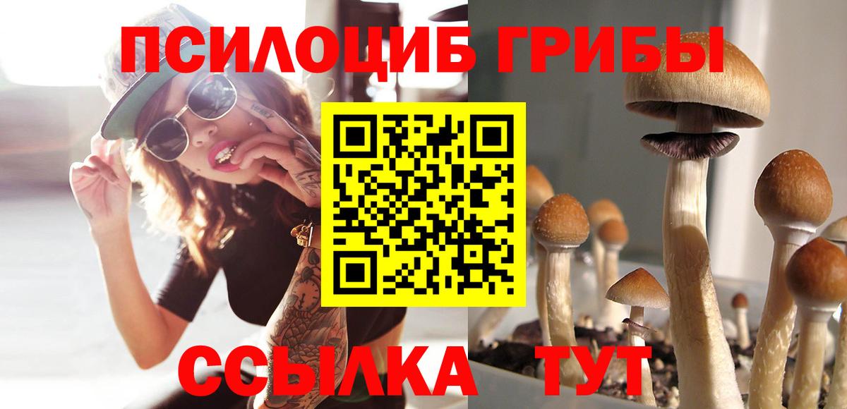 Галлюциногенные грибы GOLDEN TEACHER  Вход с VPN  Ангарск  Псилоцибиновые грибы Cubensis 